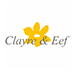 clayreeef